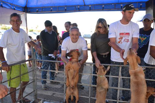 Evento organizado pela Associação de Proteção aos Animais promoveu a adoção de cães castrados, vacinados e vermifugados