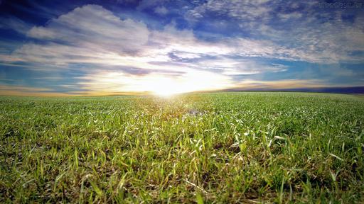 Autoridades de nove cidades do Sudoeste Goiano estarão presentes na reunião, que vai tratar da captação de recursos federais para o avanço da agricultura e da pecuária na região. O evento acontece nesta sexta-feira, às 14 horas, no plenário João Justino de Oliveira