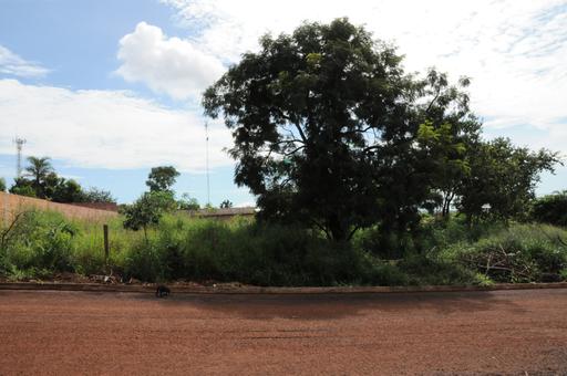 Praticantes de peteca do bairro não têm local para praticar o esporte. Local próximo ao Clube dos Médicos poderia abrigar uma quadra