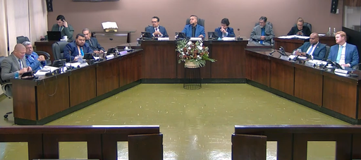 Abertura da primeira temporada de reuniões plenárias do mês