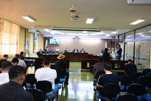Segunda reunião plenária da primeira temporada deste mês