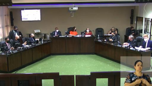 Encerramento da segunda temporada de sessões plenárias deste mês