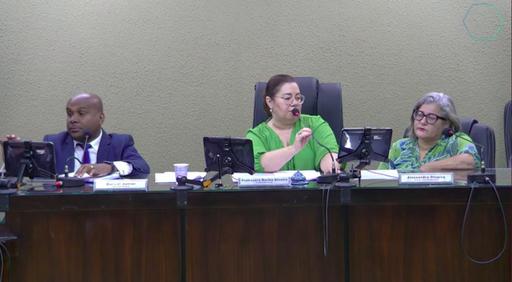 Abertura da primeira temporada de reuniões plenárias do mês