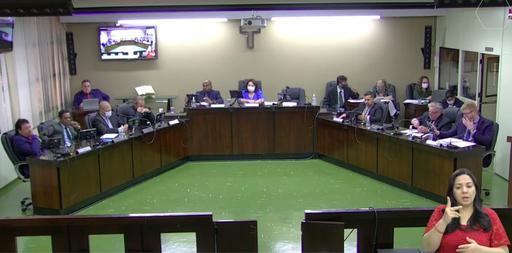 Abertura da primeira temporada de reuniões plenárias do mês