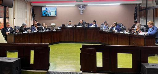 Abertura da primeira temporada de reuniões plenárias do mês