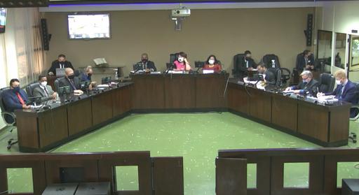 Segunda reunião plenária da primeira temporada de sessões deste mês